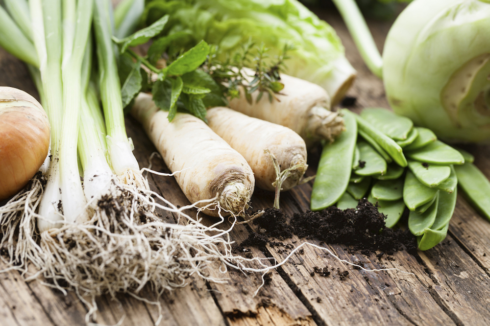 Veg Boxes