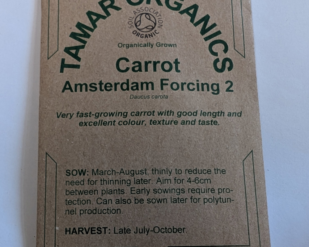 (Seeds) Carrot - Amsterdam Forcing 2