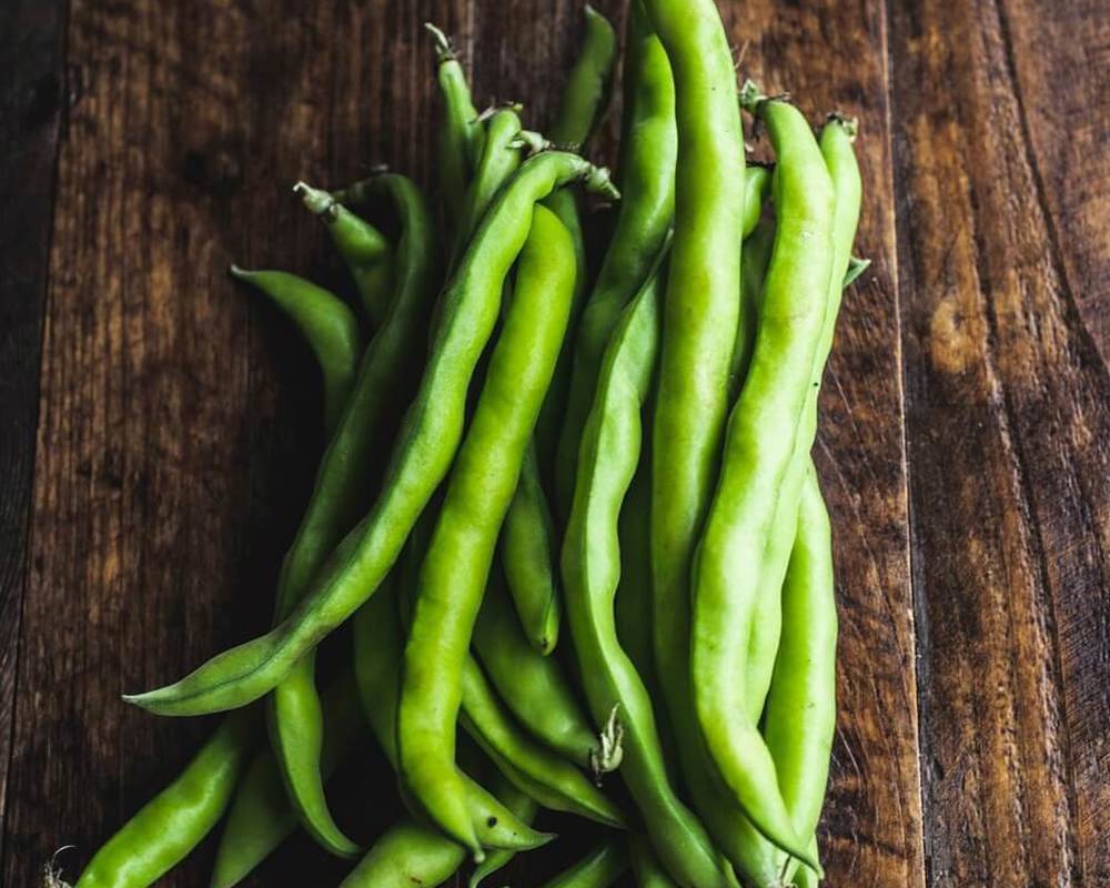 Broad beans