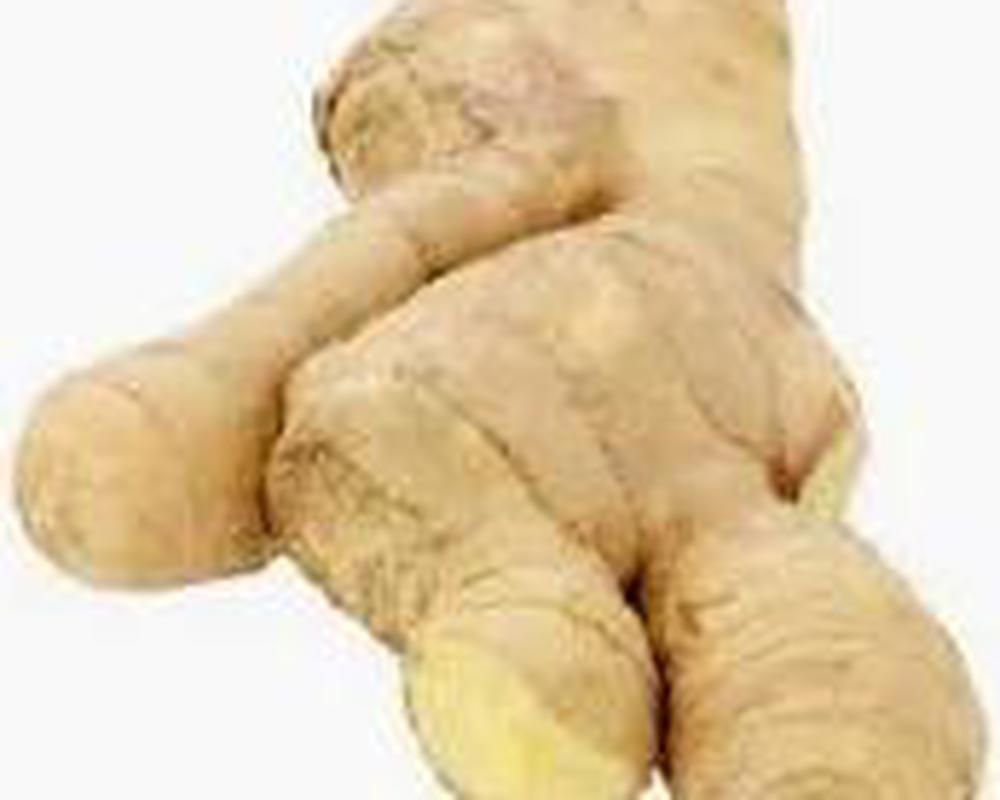 Ginger Root