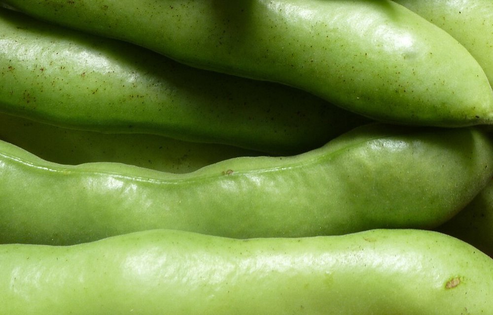 Broad beans - 500g