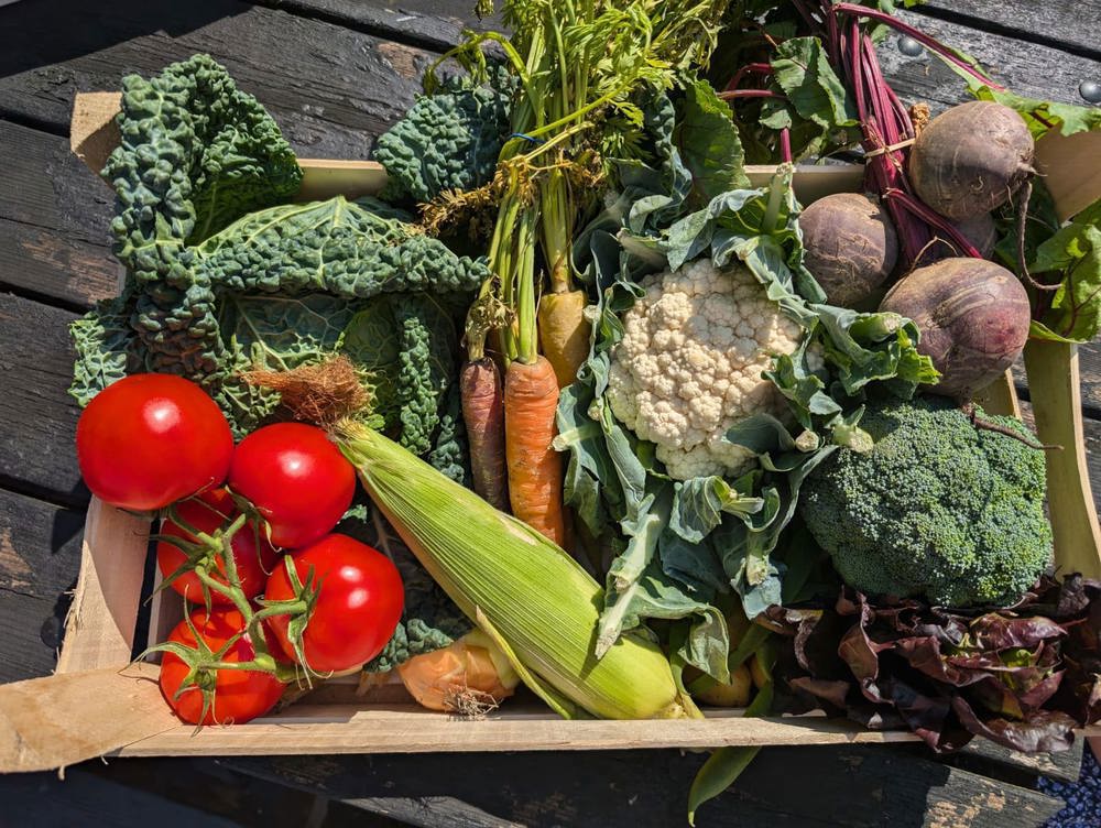 Large Veg Box