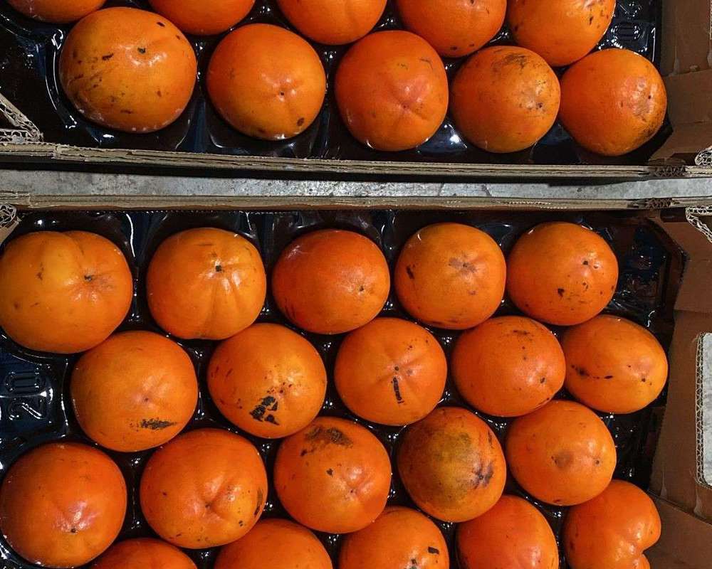 Persimmons  (Sharon Fruit) Kaki Red Brilliant