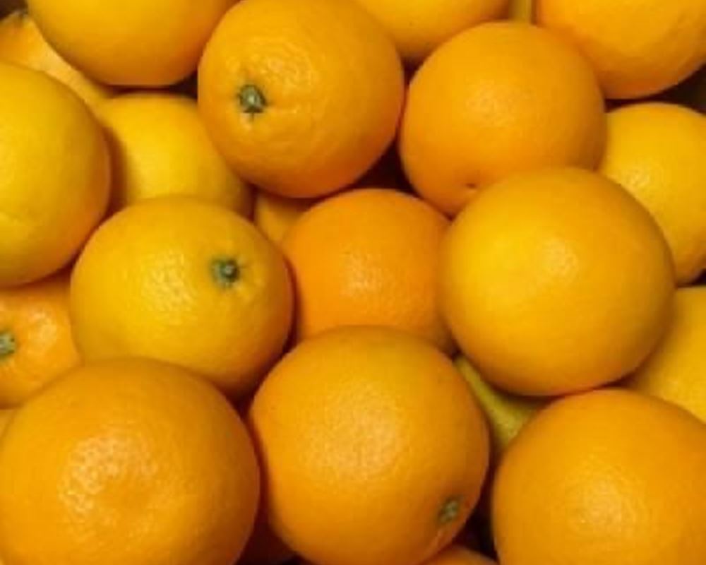 Oranges - Organic ESP