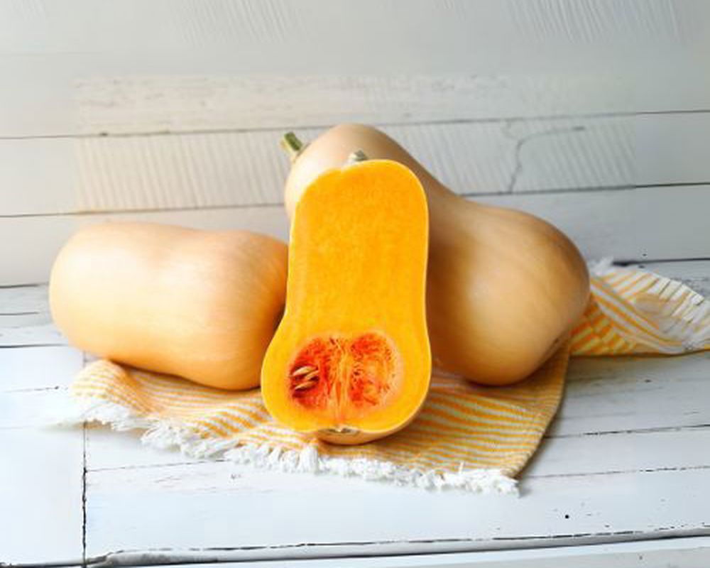 Butternut Squash