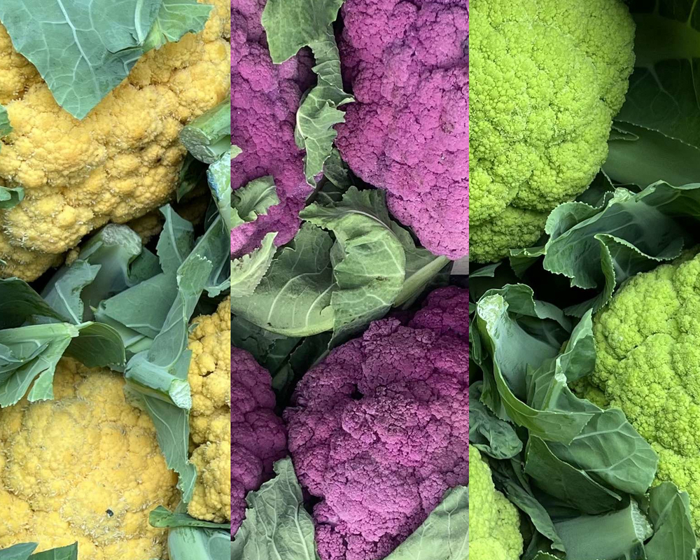 Cauliflower - Mixed (Yorkshire, UK)