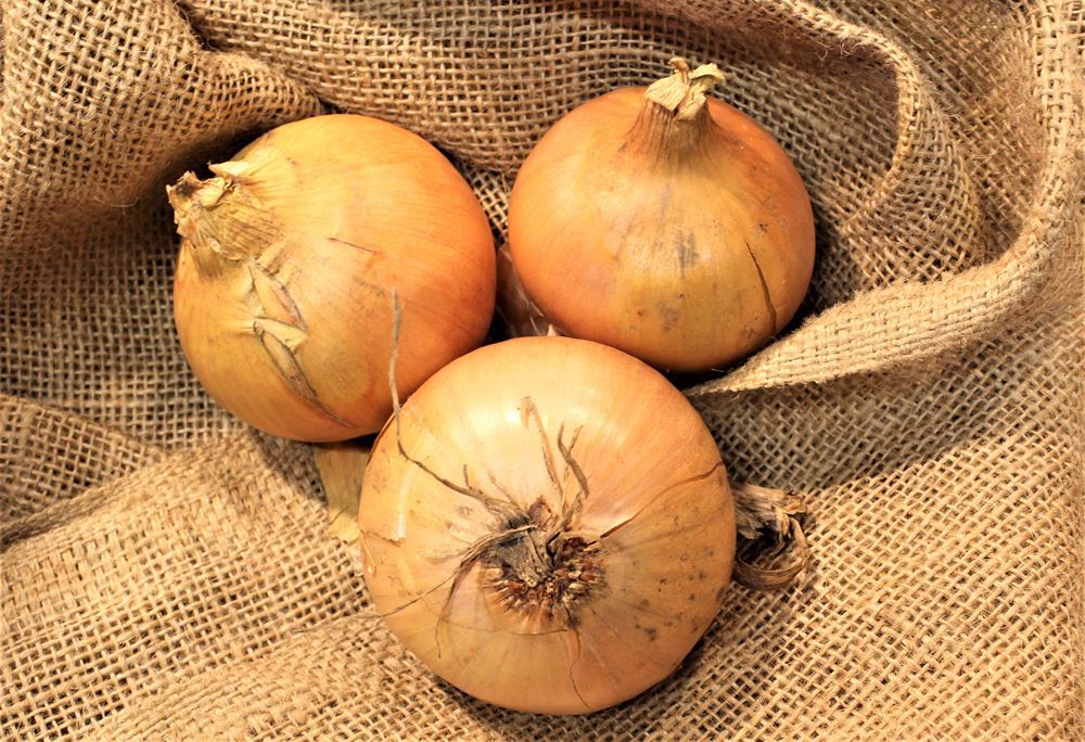 Organic Onions 500g