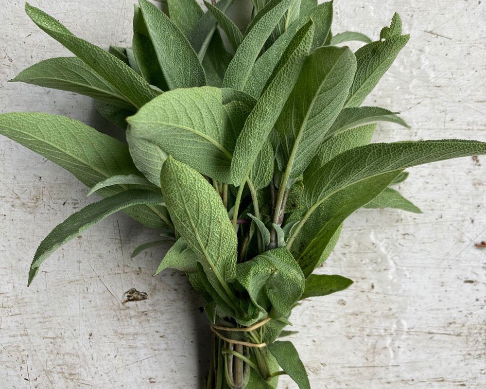 Bunch of sage - 50g