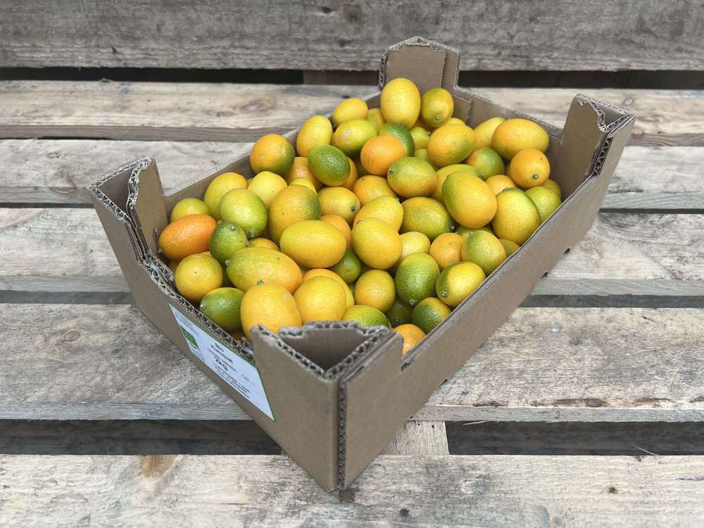 Kumquats - Organic