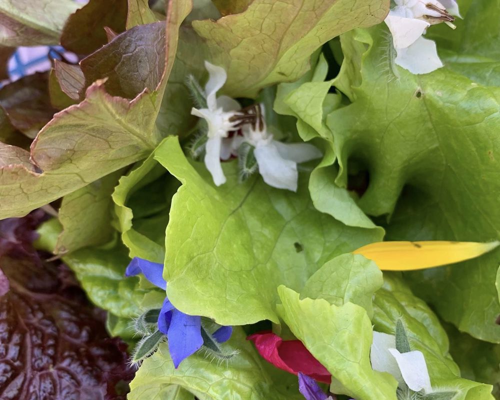 Floral Salad Bag