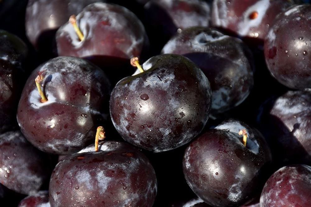 Plum: Black
