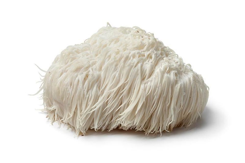 Mushroom: Lion's Mane