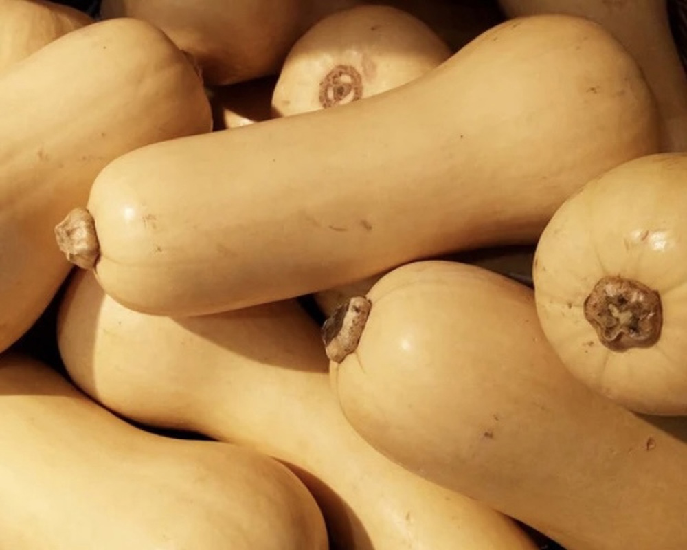 Butternut Squash