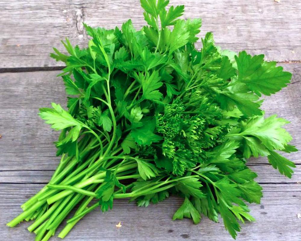 Parsley