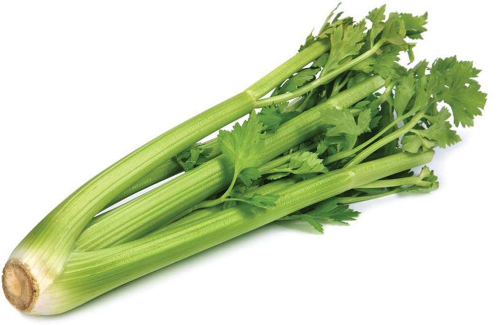 Celery EKG