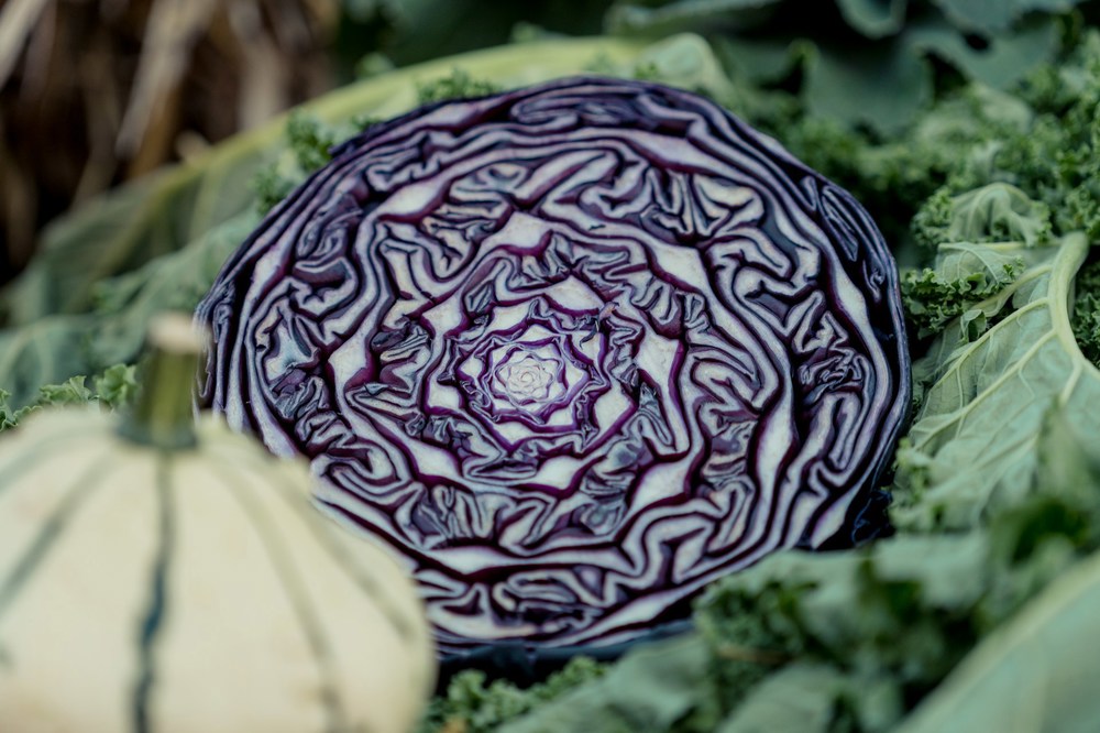 Organic Red Cabbage