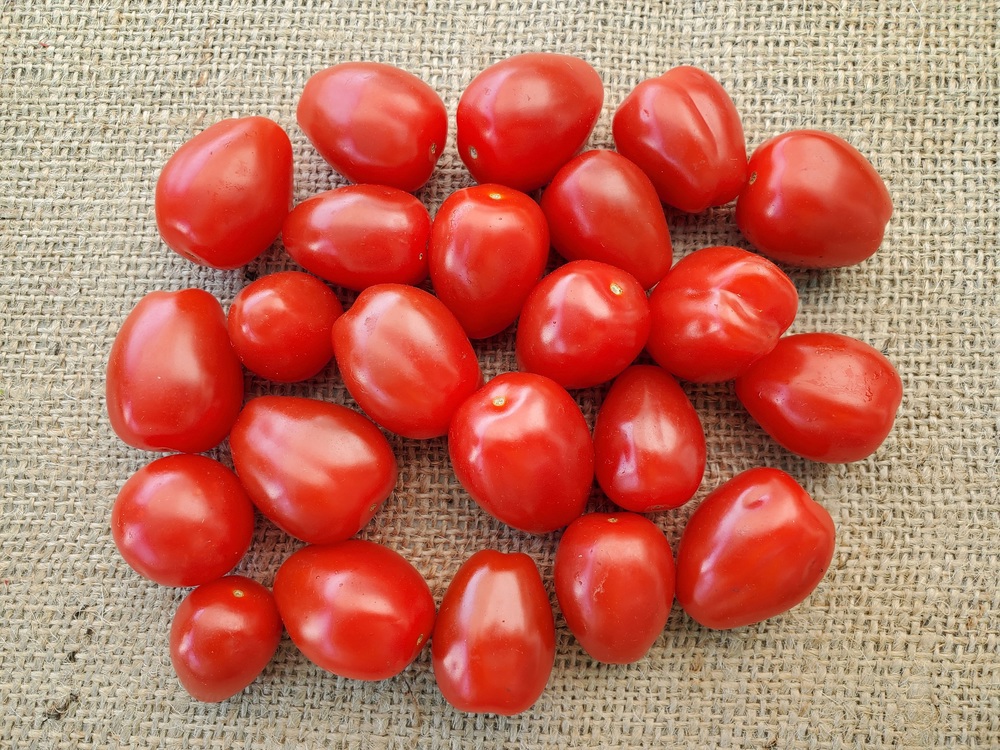 Tomatoes - baby plum