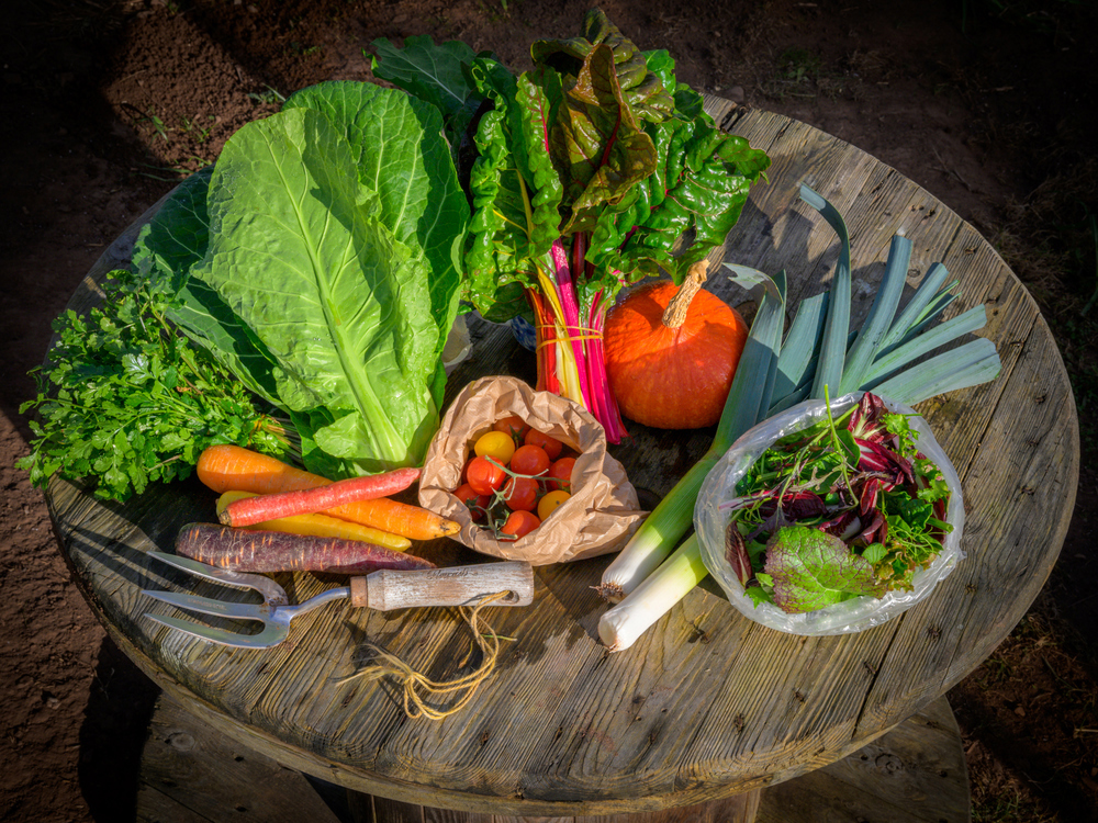 Medium Veg Box with Solidarity donation