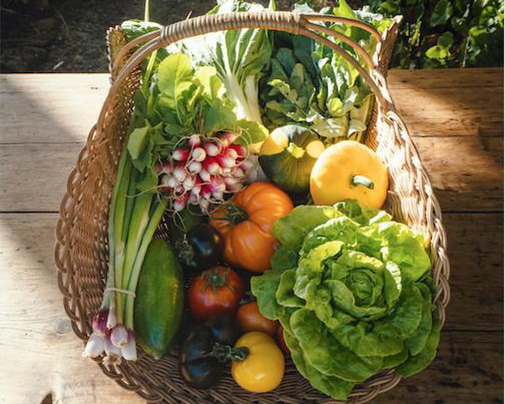 Organic veggie box hotsell