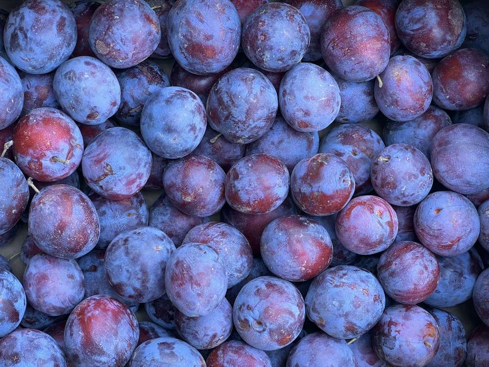 Organic Plum President (600g)
