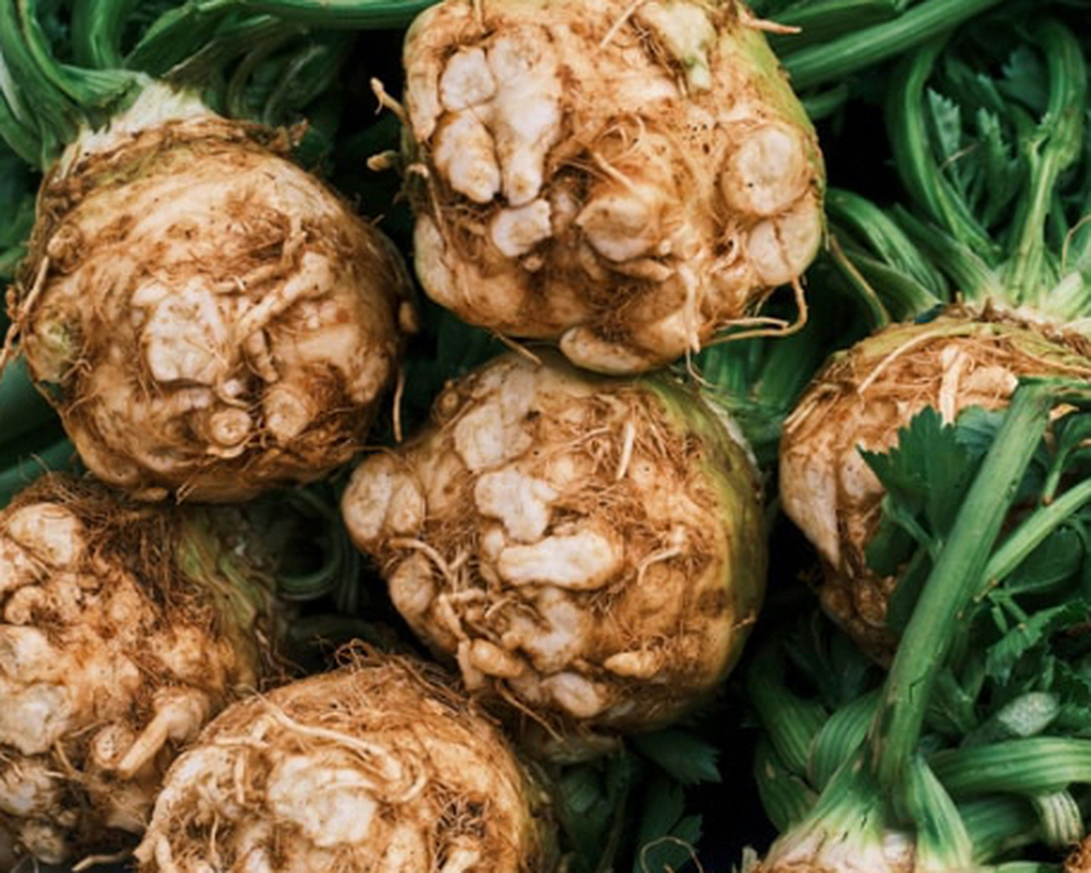 Celeriac