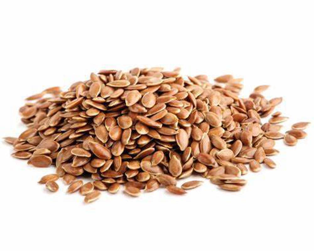 Had llin/Linseed 100g