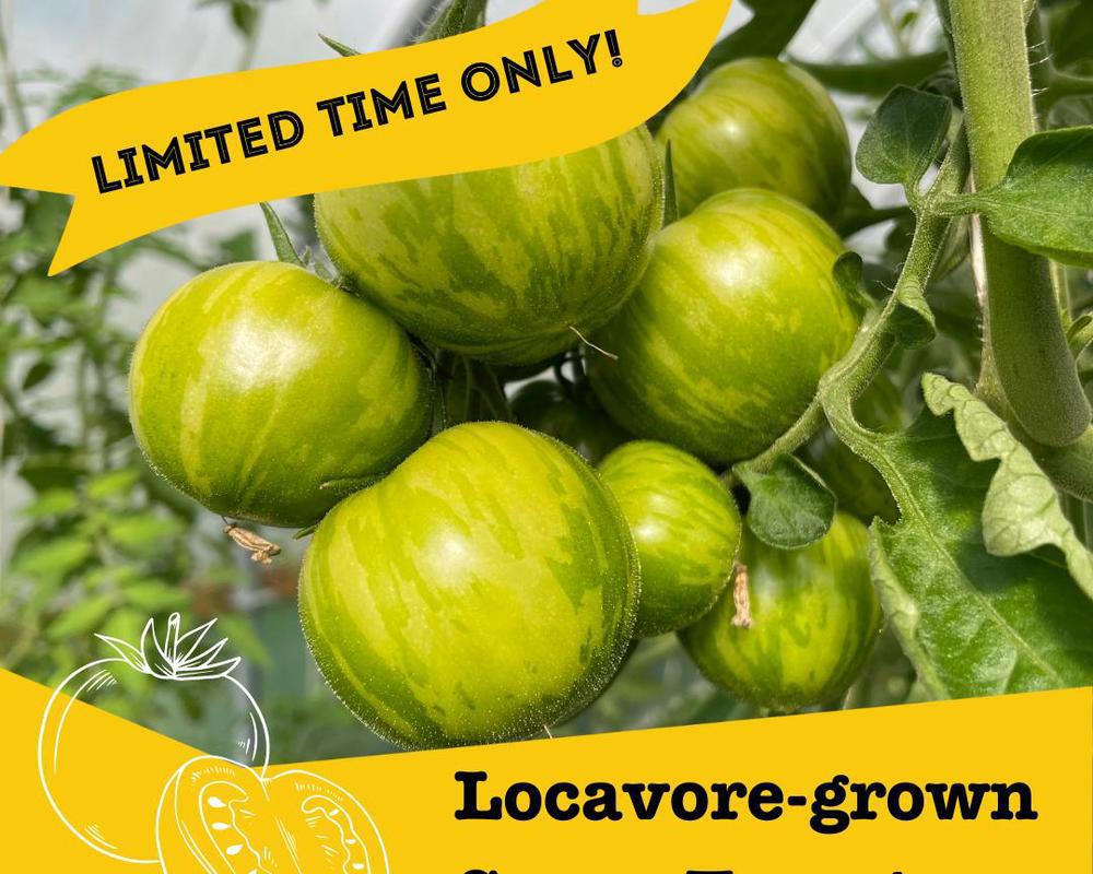 Locavore-Grown Green Tomatoes