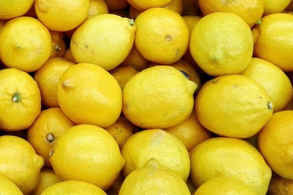 Lemon - Verna