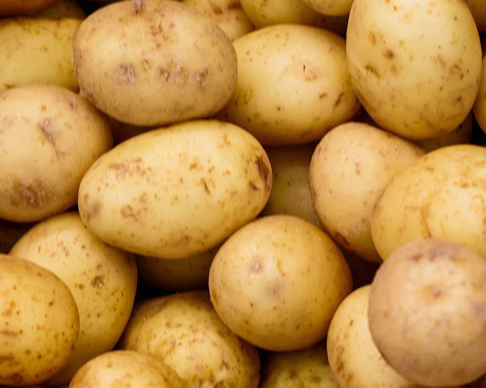 Potato: Twinner