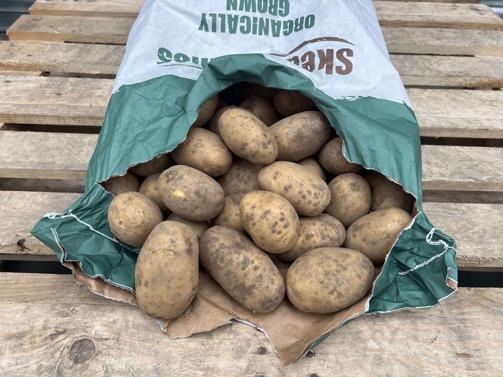 Organic Potato Twinner