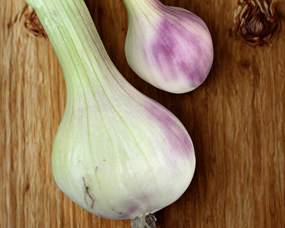 Shallots