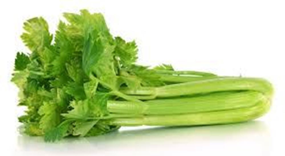 Celery Bunch