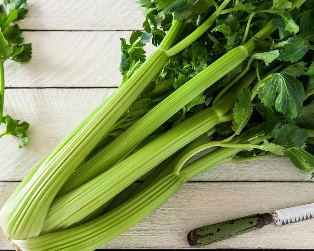 Celery Bunch