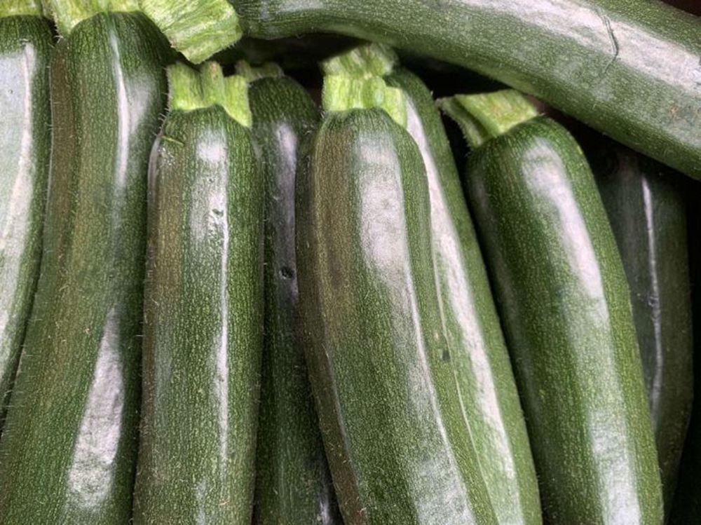 Courgettes (Spain)
