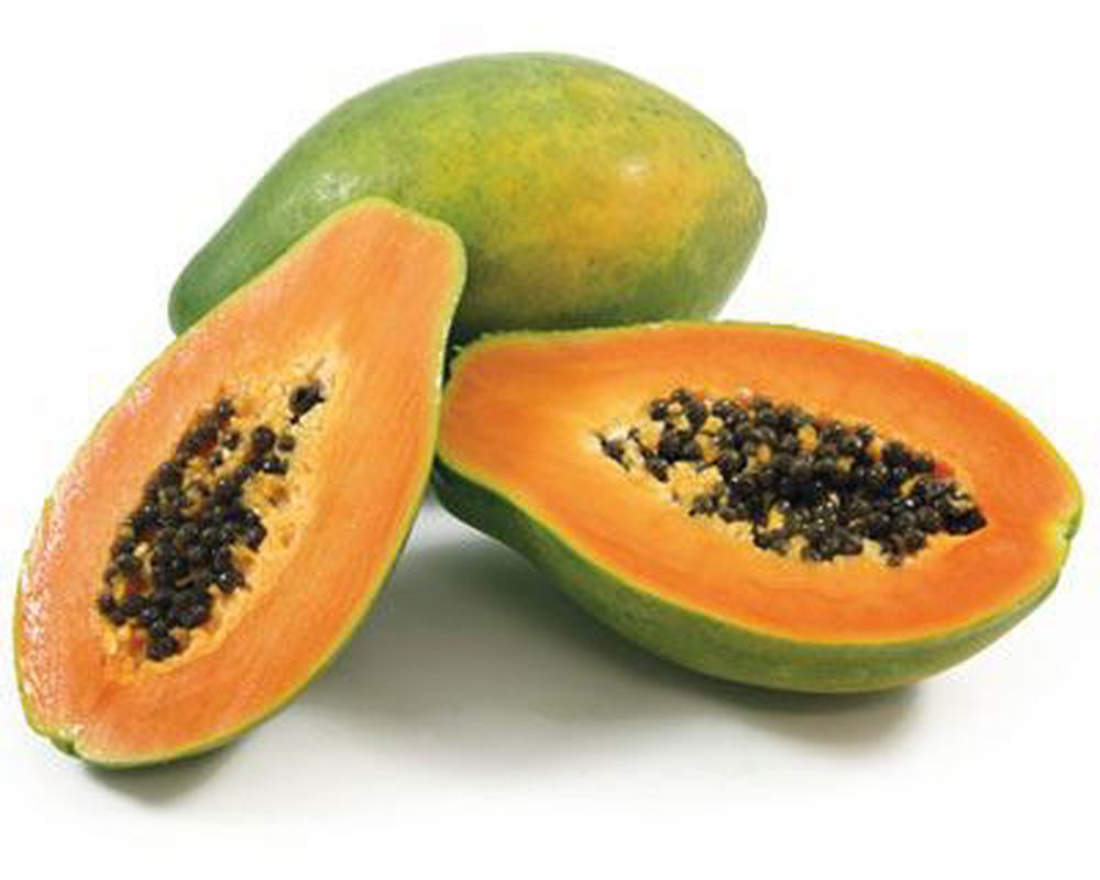 Paw Paw