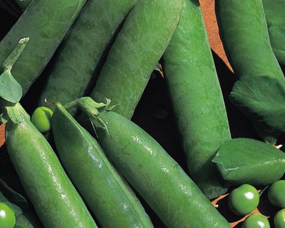 Peas