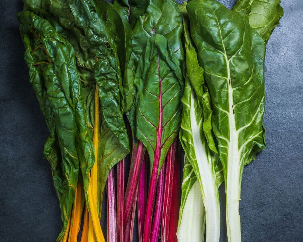 Chard Rainbow