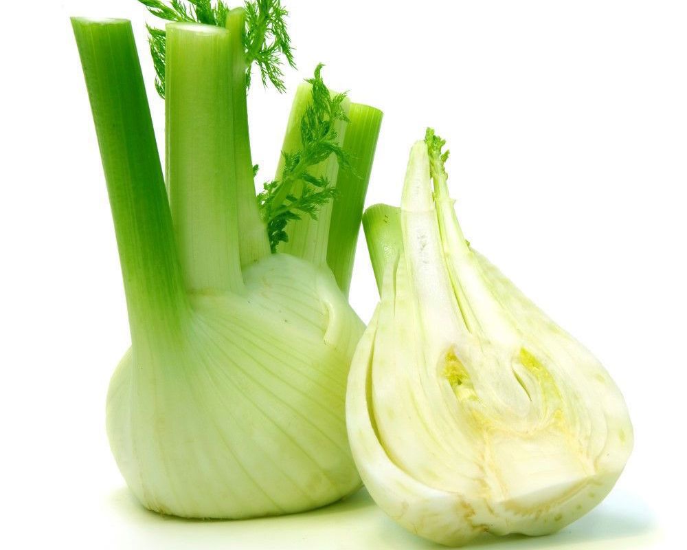 vFennel