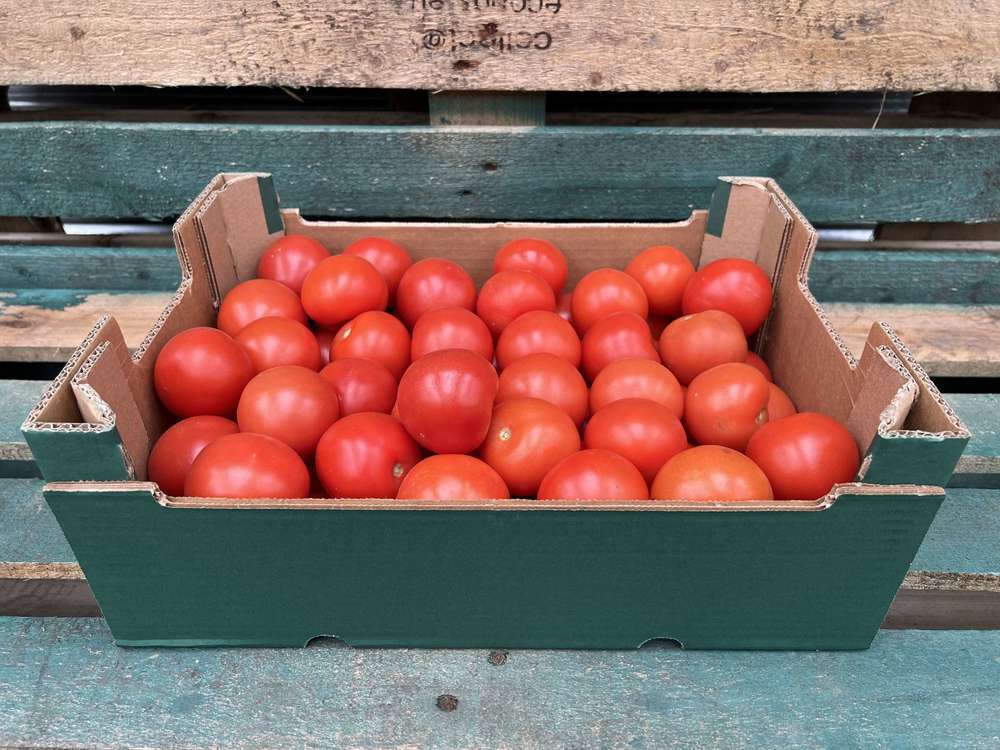 Tomatoes - Organic Round - loose