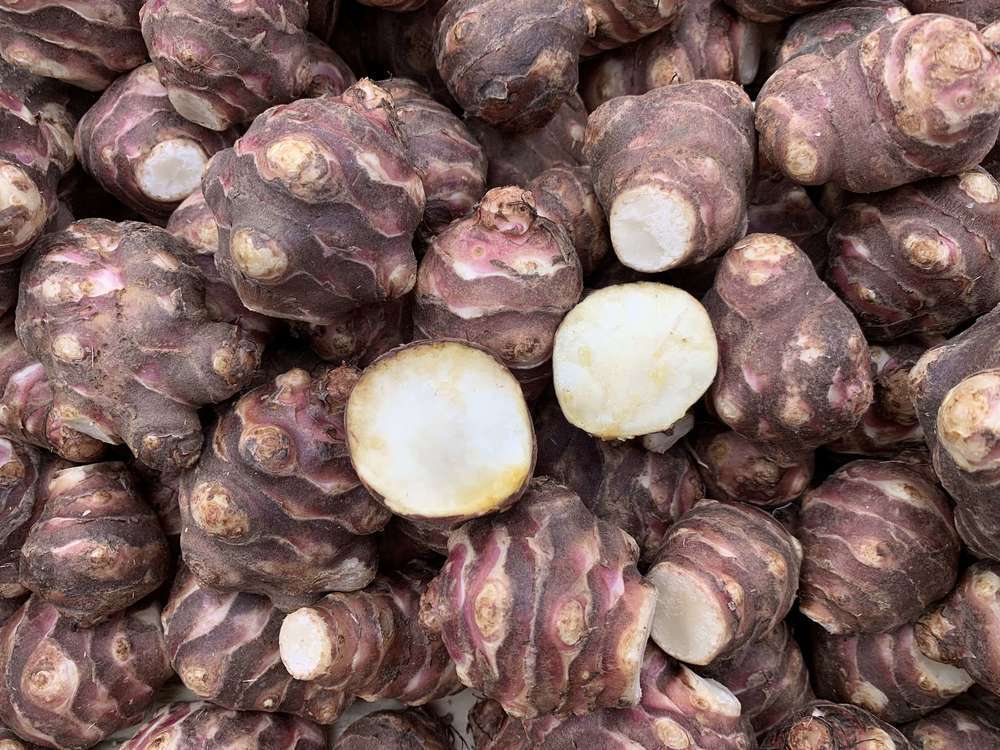 Jerusalem Artichoke (Italy)