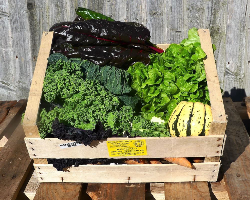 Medium Organic Veg Box - No Spuds