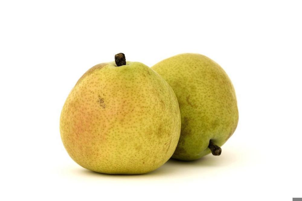 Pear: Guyot