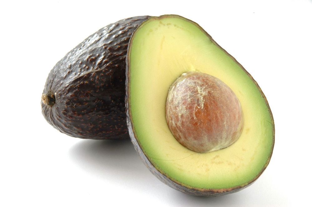 Avocado: Ryan