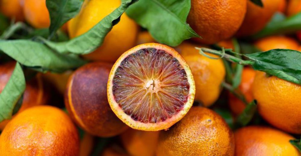 Oranges - Blood Oranges - kg