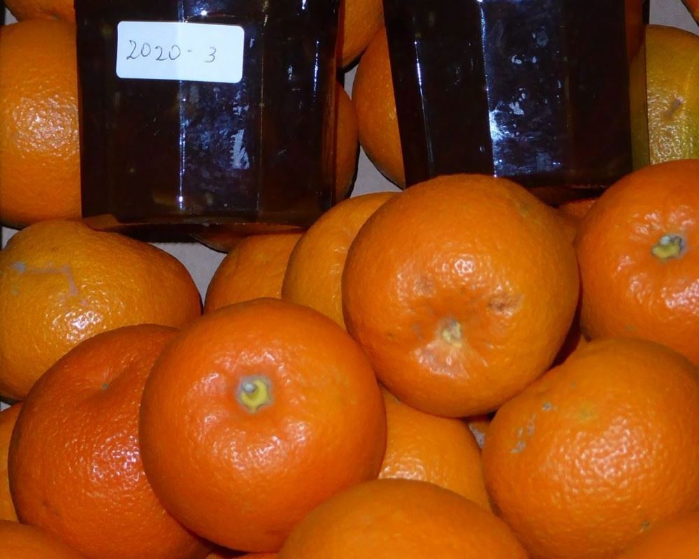 Seville Oranges - approx 3kg