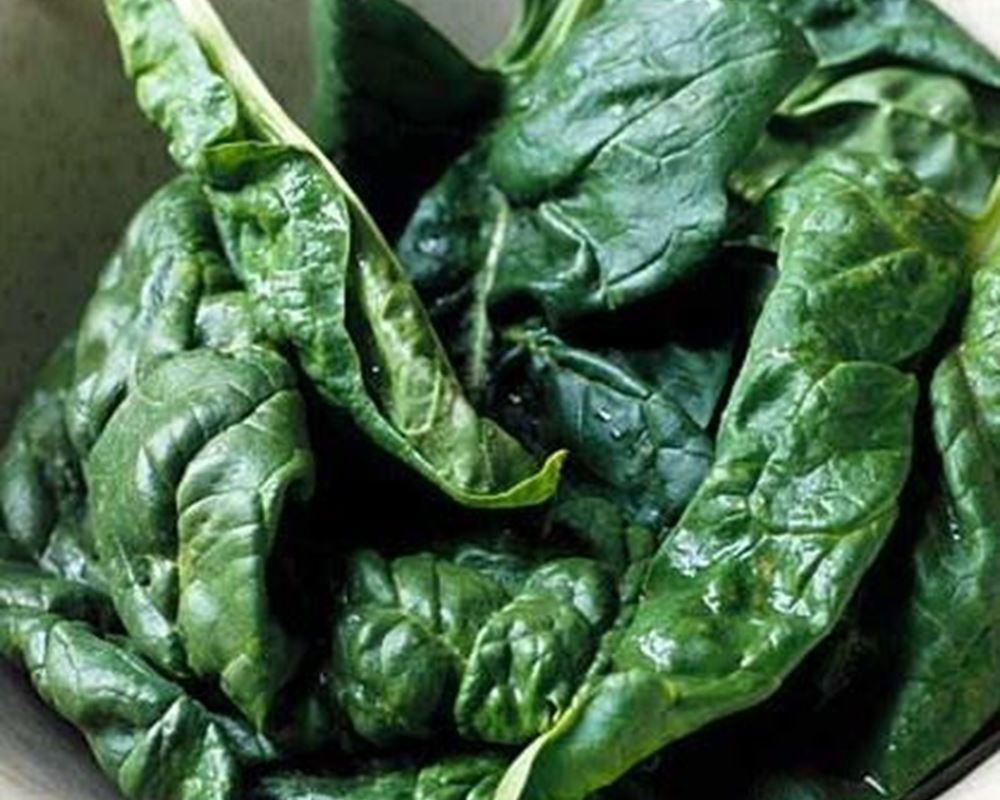 Spinach (True)
