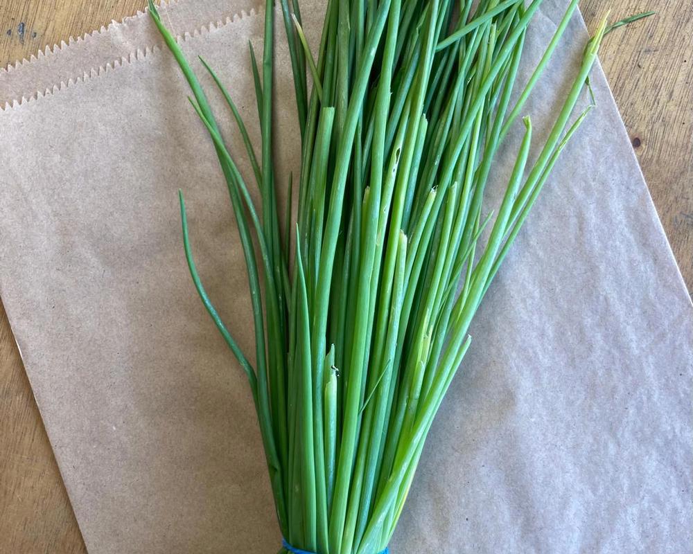 Chives