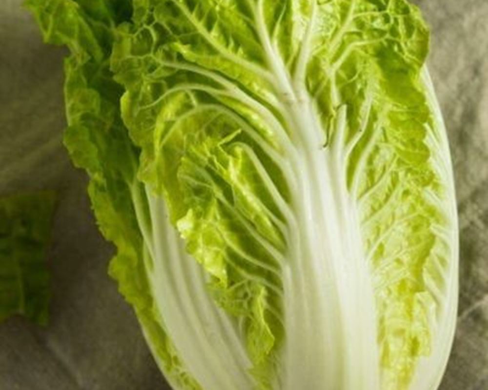 Cabbage Chinese - Organic