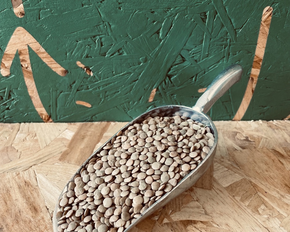 Green Lentils - organic