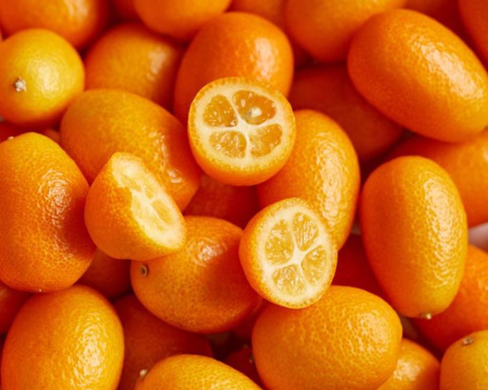 Kumquat - Organic ESP